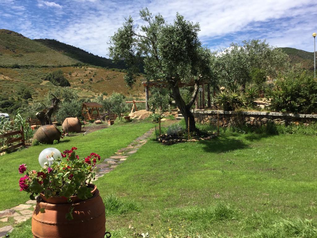 Il Giardino Di Daniela Bed & Breakfast Сан Теодоро Екстериор снимка