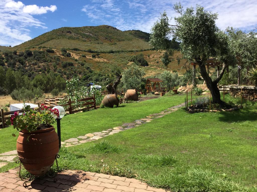 Il Giardino Di Daniela Bed & Breakfast Сан Теодоро Екстериор снимка