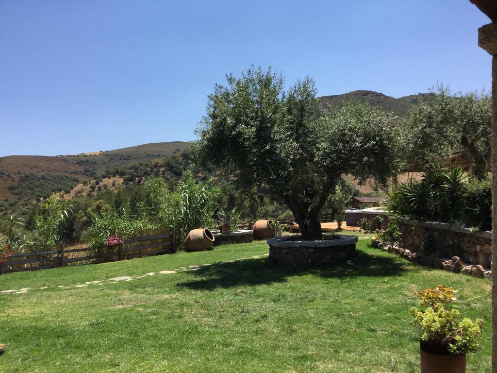 Il Giardino Di Daniela Bed & Breakfast Сан Теодоро Екстериор снимка